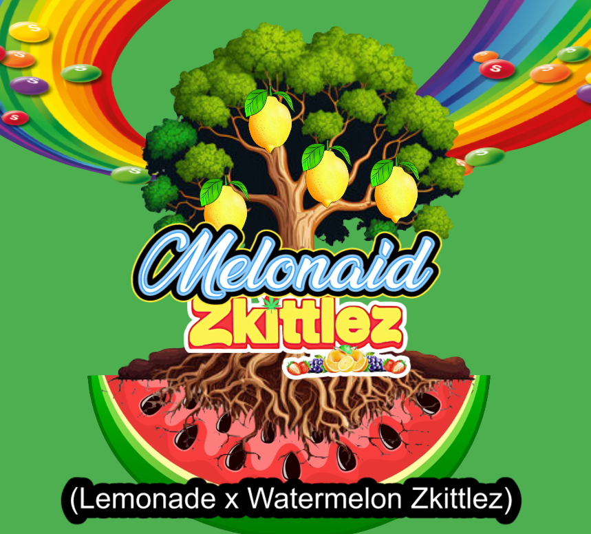 Melonaid Zkittlez 1